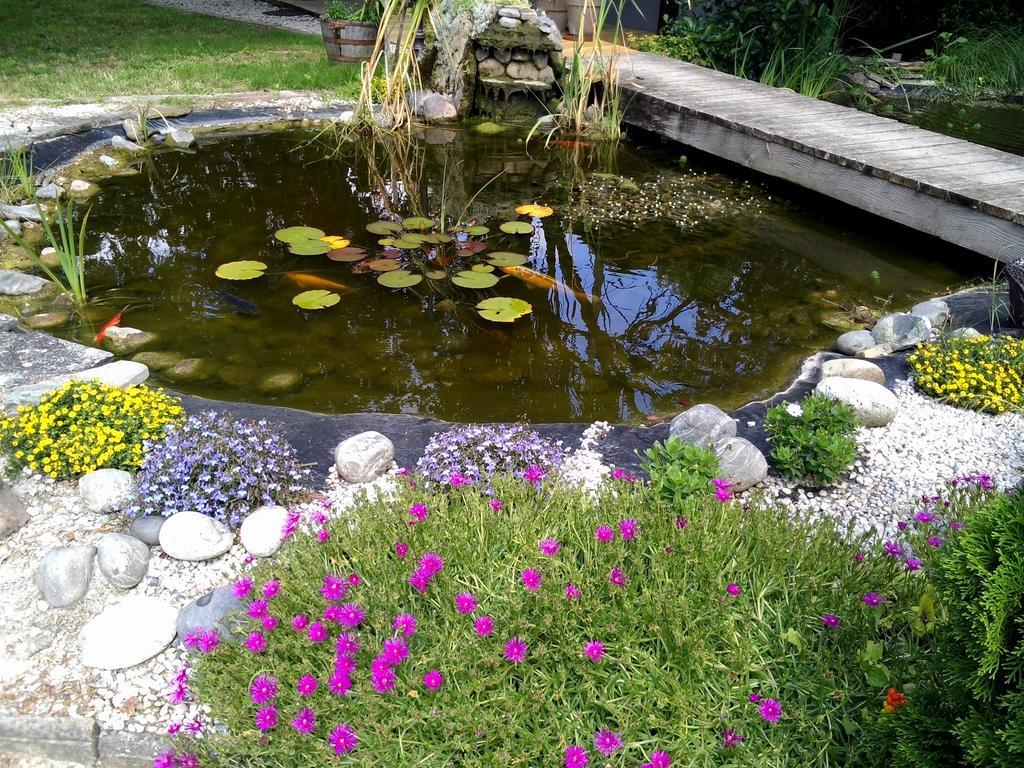 לינה וארוחת בוקר Fronsac  Le Bassin Du Tertre מראה חיצוני תמונה